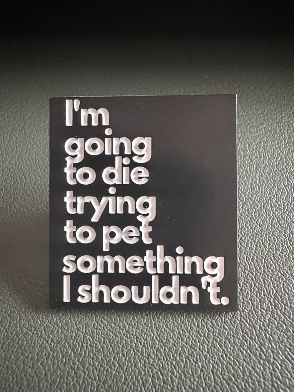 Funny Enamel Pin